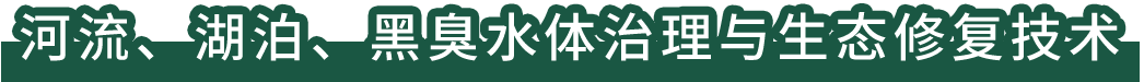 河流、湖泊、黑臭水體治理與生態(tài)修復(fù)技術(shù)