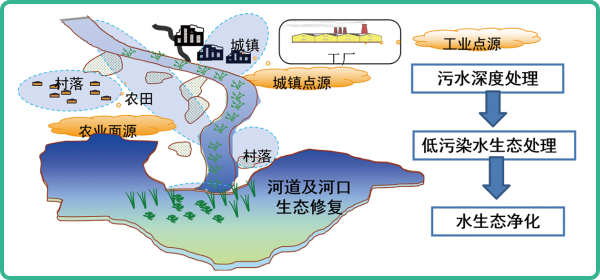 人工濕地，人工濕地建設